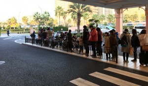 ディズニーセレブレーションホテルのバスの列