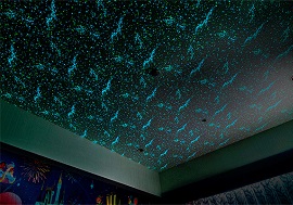 ディズニーセレブレーションホテルウィッシュの客室星空写真（画像引用元：Disney）